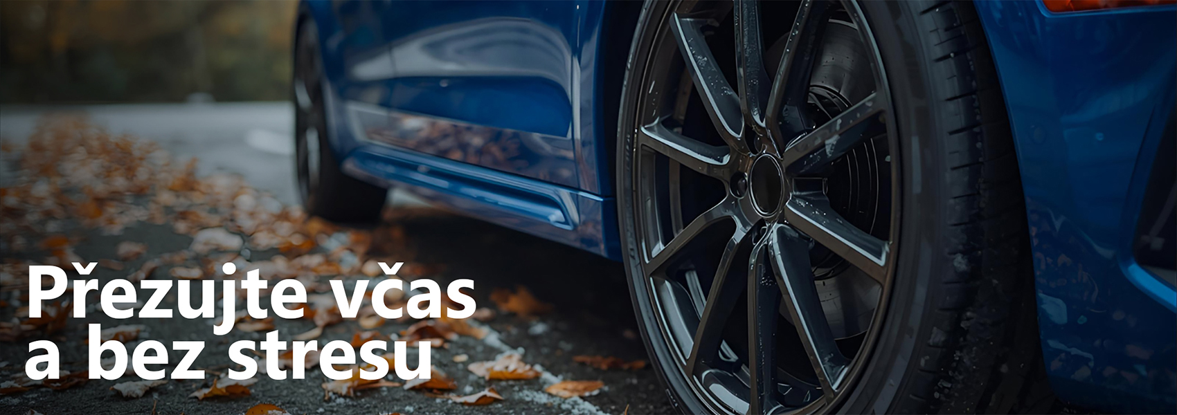 Servis Auto Horejsek