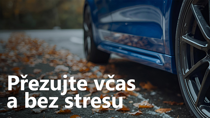 Servis Auto Horejsek