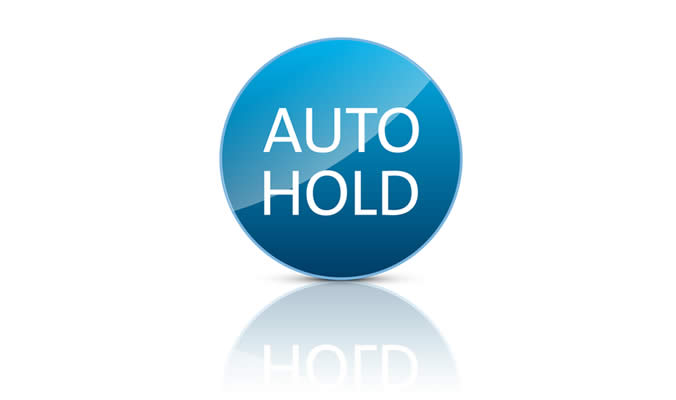 vw caddy kombi auto hold