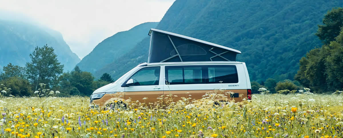 Volkswagen California 6.1