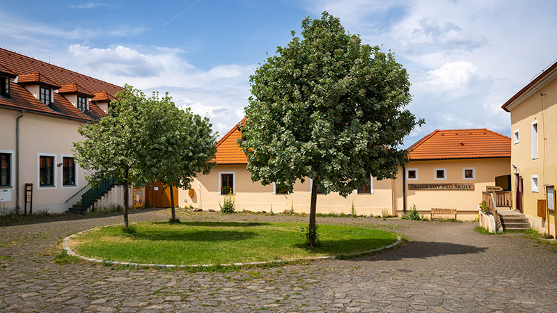 Kia ocenila vítězný projekt