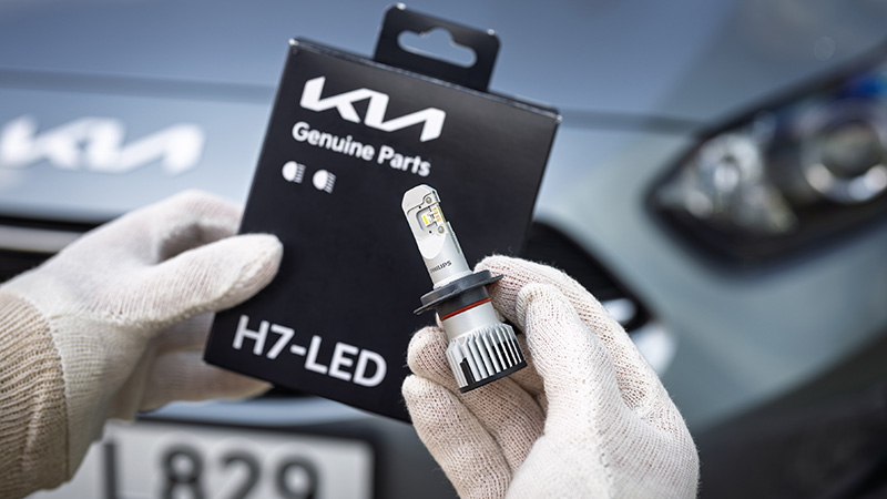 Ruce v rukavicích drží krabičku s logem Kia a novou LED H7 žárovku