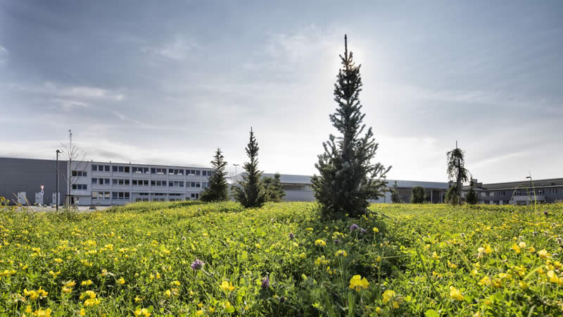 ŠKODA - mezinárodní den biologické rozmanitosti