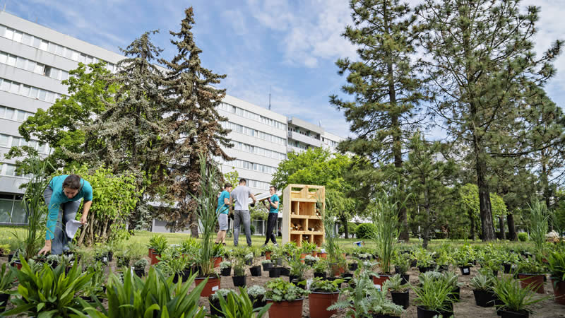 ŠKODA - projekty na zachování biodiverzity