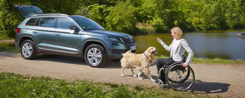 Škoda Handy